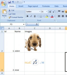 Writing Images to Excel Using PHPExcel
