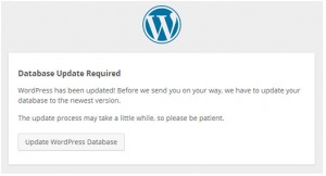 WordPress update with FTP or Cpanel